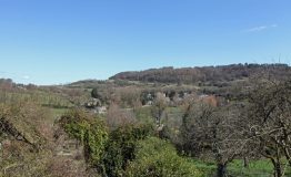 EXTERIOR-resize