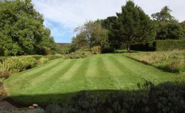 Gild-Low-Garden-edited-resize