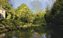 154lumsdale-garden-1