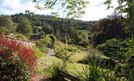 332garden-resize-1