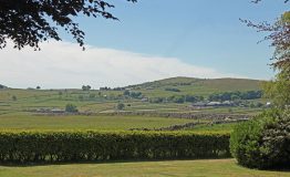 Garden-to-view-resize