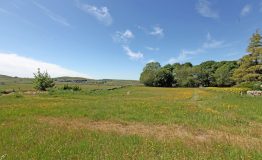 View-resize