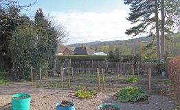 Veg-garden-resize